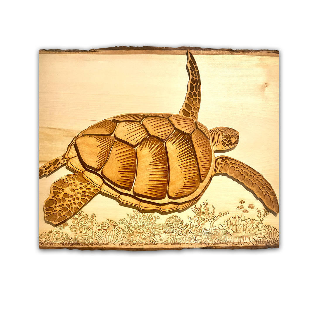 Turtle on Wood with Engraved Corals