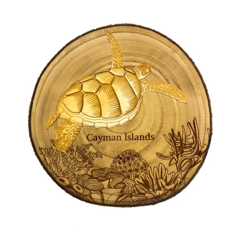 Turtle on Circular Wood